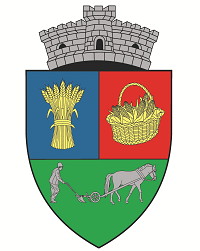 Primaria Sinnicolau Roman